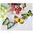 10pcs Colorful Changing Butterfly LED Night Light Lamp Home Room Party Desk Wall Decor