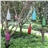 Pack of 5 Solar Powered LED Bottle Lamp Hanging Glass Wine Bottle Landscape Lights for Garden Yard Lawn Party Decor (White & Red & Pink & Blue & Green)