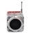 TT-028 Portable Mini Multimedia Speaker with FM Radio /LCD screen /SD Slot /Line-In /USB Jack 
