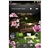 G21 MTK6513 650MHz Android 2.3 Dual SIM Quadband 3.5-inch Capacitive Screen Smartphone with WiFi GPS Dual-camera (White)