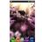 S5 Android 2.3 MTK6573 600MHz Dual-SIM Quad Band 5.0-inch Capacitive Screen 3G Smart Phone with WiFi GPS Dual-camera 