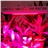 CDL-G90W Eco-friendly Square Shaped 90W LED Plant Grow Light Lamp 