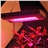 CDL-G90W Eco-friendly Square Shaped 90W LED Plant Grow Light Lamp 