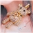 4GB U Disk Bear Shape USB Flash Memory Drive with Rhinestone (Pink)