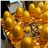 Beautiful Hollow Plastic Easter Golden Egg Decoration