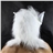 Eco-friendly Latex Wolf Head Mask for Balls Parties All Saints' Day Bear Bar Decoration (White)