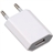 European Style USB Charger Adapter with EU Plug for iPhone 4S/ 4/ 3G/ 3GS/ 2G/ iPod (White)