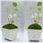 Solar Multi-Color LED Light with Mushroom Shape