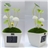Solar Multi-Color LED Light with Mushroom Shape
