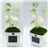 Solar Multi-Color LED Light with Mushroom Shape