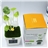 Solar Multi-Color LED Light with Mushroom Shape