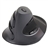 DELUX M618GL 2.4GHz Vertical Wireless Laser Mouse with USB Nano Receiver (Black) 