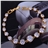 Fashion Women Round Zircon Deored Gold Plated Bracelet Cuff Bangle (White)